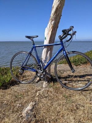 Bicycles - Alpha Sl - Nelo's Cycles
