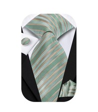 Mens Tie Set Solid Paisley Silk Striped Necktie for Men with Sage Green Khaki