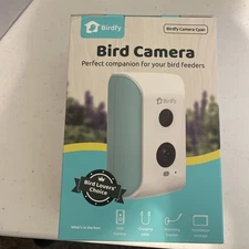 Birdfy Smart Bird Feeder Camera for Wild Bird Watching & Recording-Wall & Pole