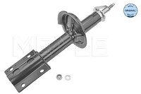 2X Meyle StoßDäMpfer Vorderachse U.A. FüR CitroËN, Fiat, Peugeot