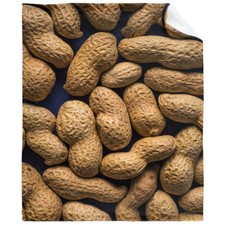 Peanut Blanket Funny Food Throw Blanket for Sofa Chairs Bed, Good Blanket Gif...