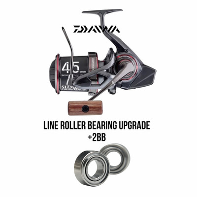 Daiwa Basia 20 45 SCW QD Line Roller/ Schnurlaufröllchen Bearing Upgrade +2BB