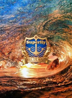Ride the Wave ～ Live ＆ Documentary～ Superfly Ride the Wave Live & Documentary Standard Edition