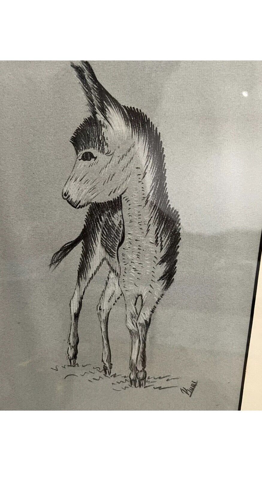 Picture 4 of 10