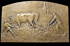 Cloudray Signed Bronze Plaque