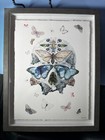 Bild 19 von 20