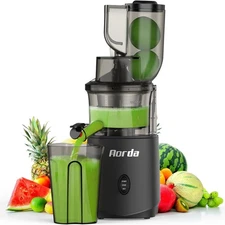 Slow Masticating Cold Press Juicer: Pressed Juicer Machines Matte Grey