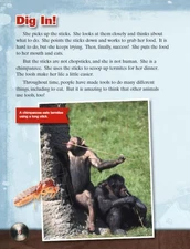 Hit It! History of Tools (TIME FOR ..., Rice, Dona Herw