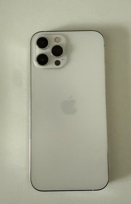iphone 12 pro max 256 gb