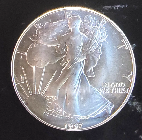 1987 American Eagle Toned Walking Liberty Bullion Vtg-0.999 Silver 1 Oz Coin 1o
