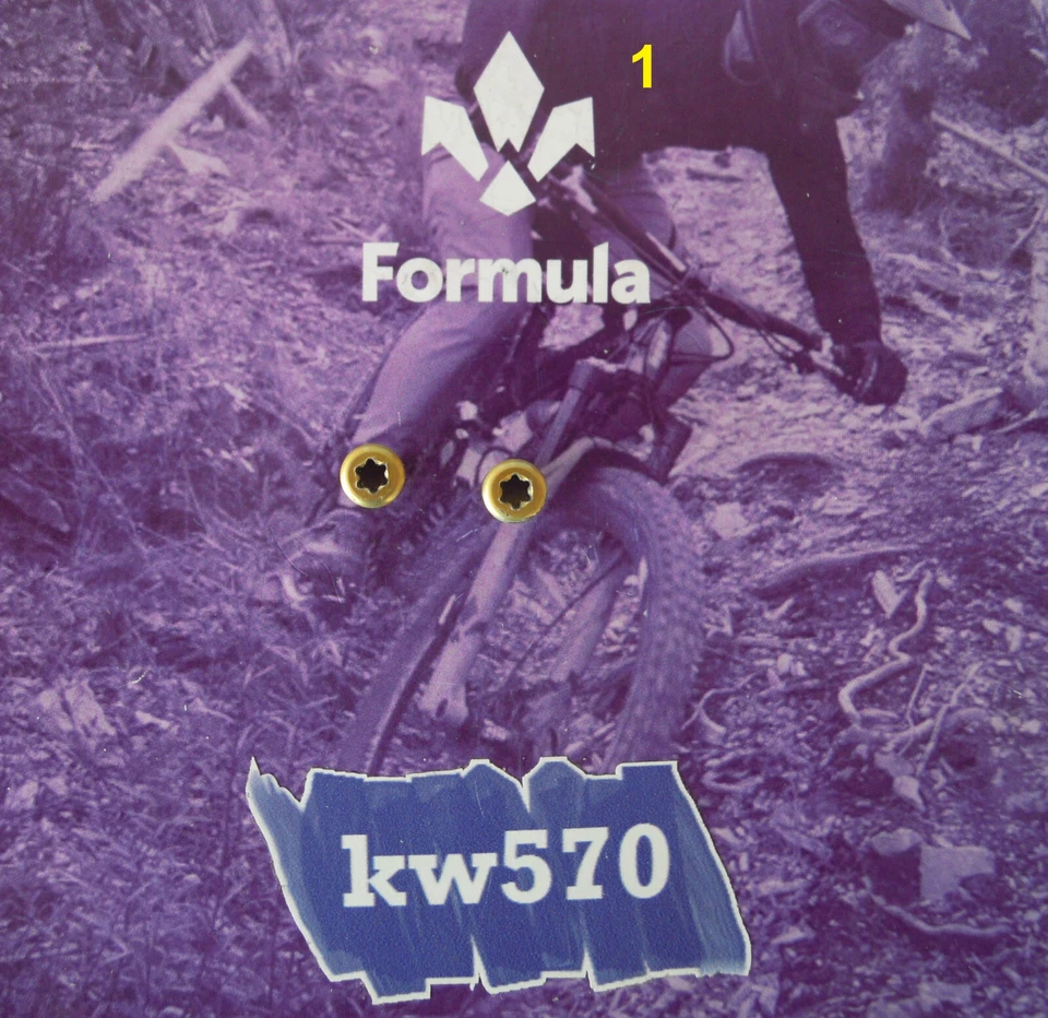 Formula - 2 Tornillos Originales ergal Oro / Tirilla/Tirilla R1/T1 FD V121 05 - Imagen 2 de 2