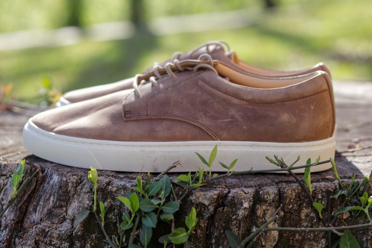 NEW Nisolo Diego Everyday Sneaker US Men display picture 3