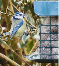 Nesting Material for Birds - 100% Natural Alpaca Fiber Nesting Ball Refill