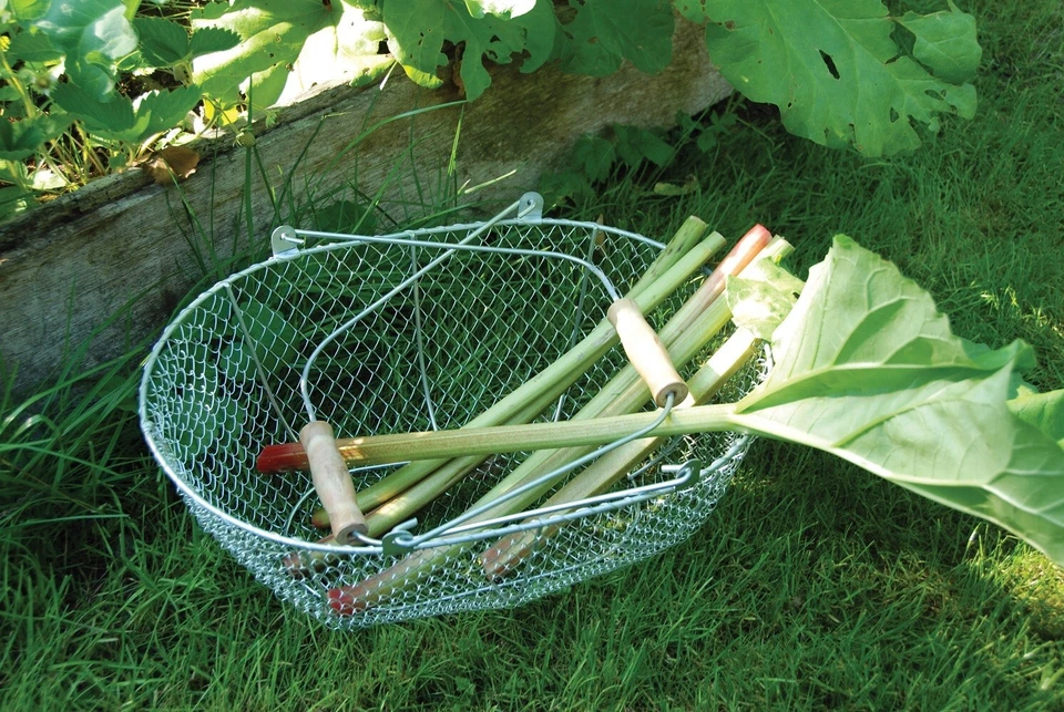 Drahtkorb klein mit Holz Griffen Dekoration Erntekorb Garten Deko Drahtgeflecht - Bild 2 von 3