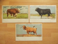 Old Types of Cattle Breeds Lemco John Hassall Postcards Hereford Longhorn Angus