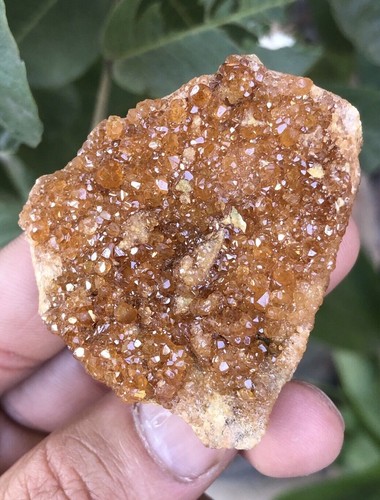 Natur Glanz Orange Grossular Var. hessonit cluster on matrix. - Bild 4 von 9