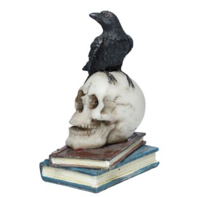 Schwarze Krähe stehend auf einem Totenkopf und Bücher klein im Karton