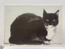J. Baron Cat Greeting Card Black White Watercolor Art Blank Inside
