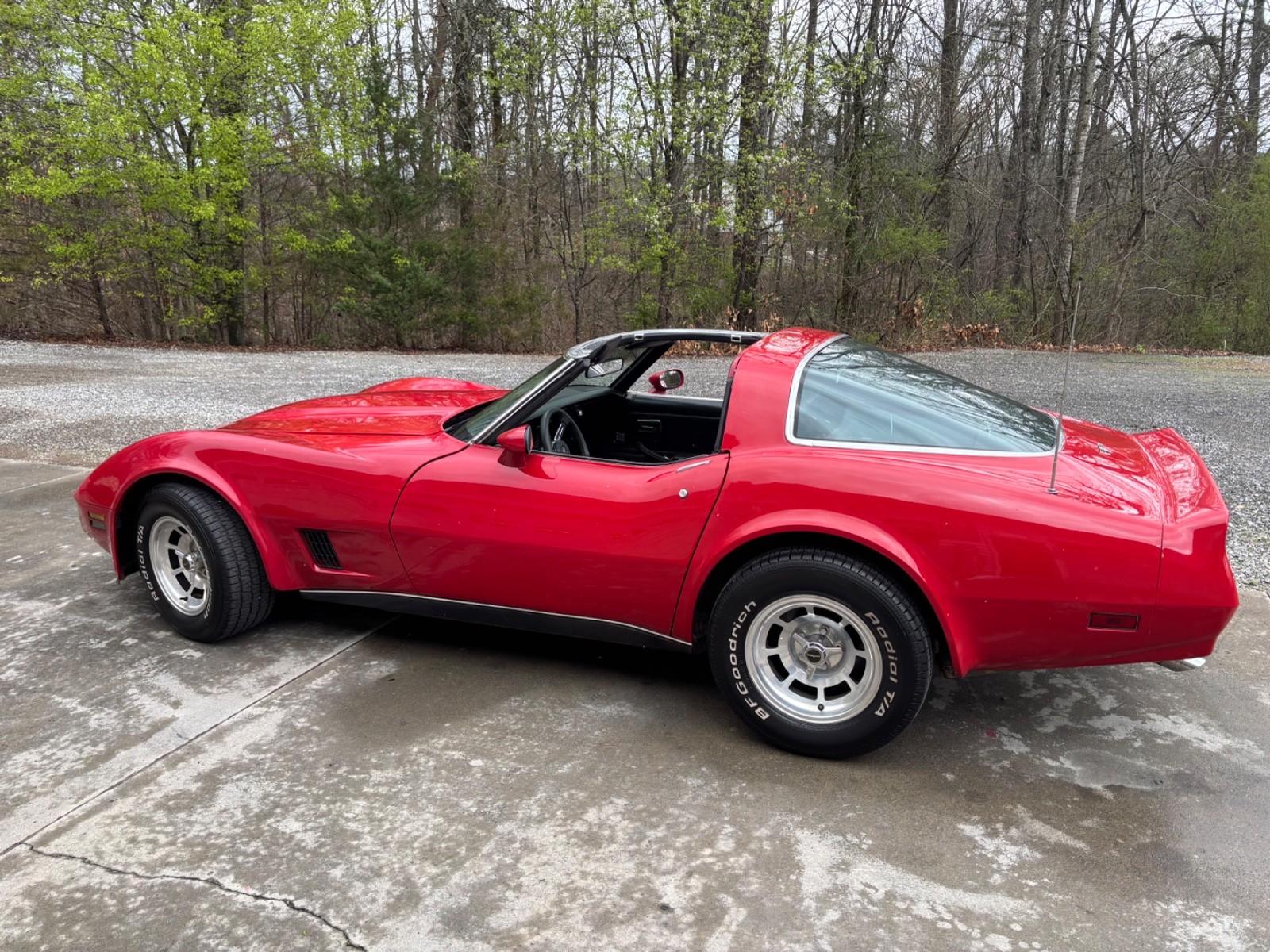 1981 Red Chevrolet Corvette   | C3 Corvette Photo 3