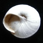 Bild 3 von 4