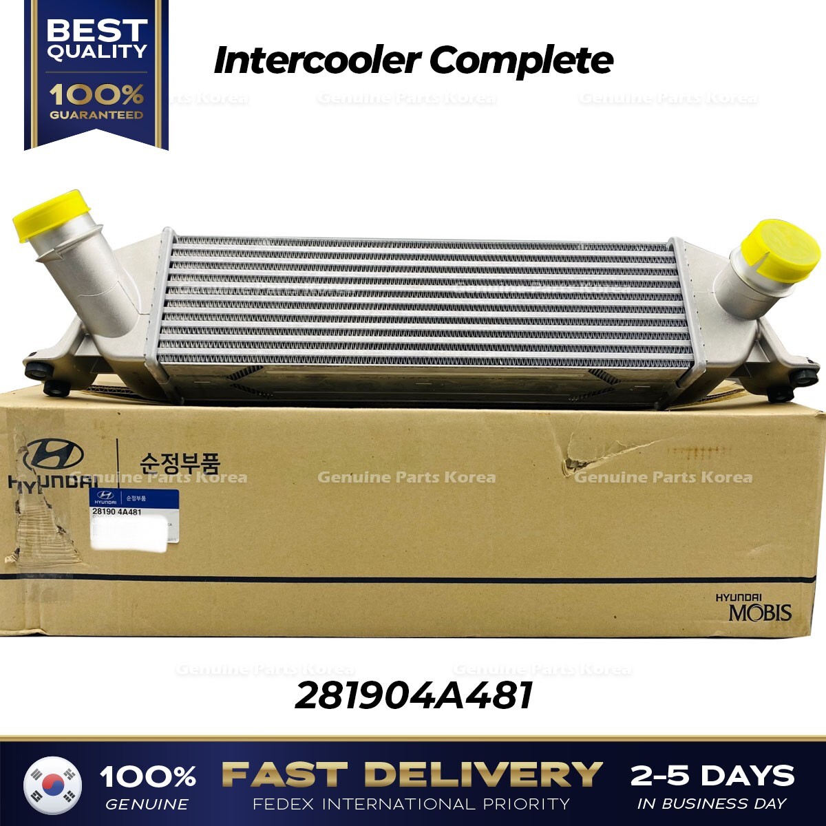 ⭐Genuine⭐ Intercooler Complete 281904A481 for Hyundai H1 Grand