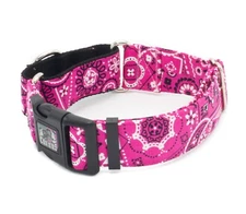 Dog Collar Pink Paisley Bandanna 5/8" - 2" Width Caninus Collars 