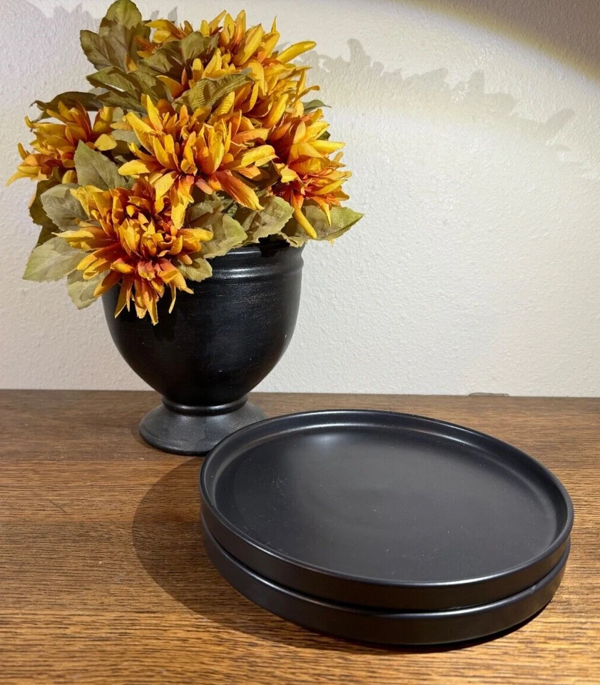 Stone + Lain 8" Black Salad Plates Set of 2 Modern Ledge Stoneware Matte EUC - Image 3 of 4