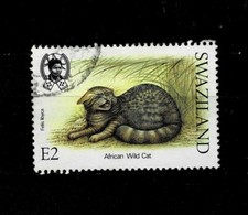 10944- Swasiland Scott 542 gebraucht. Fauna, Tiere, Katzen