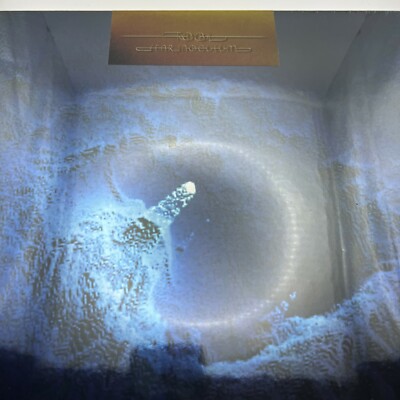 Tool Fear Inoculum [Deluxe Edition 5 Set] (Vinyl, 2022, RCA