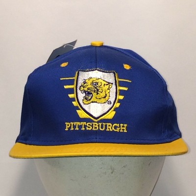 panthers baseball cap