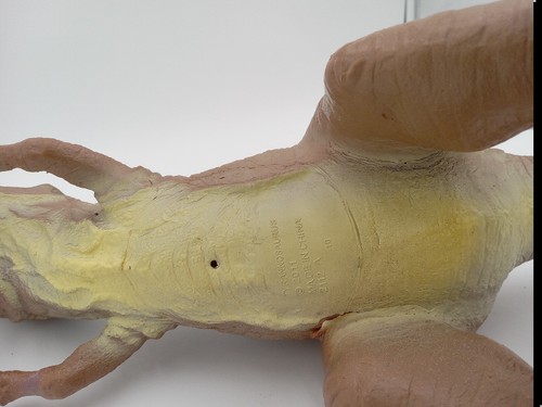 Tyrannosaurus Rex 2011 Rubber Figure - Picture 6 of 6