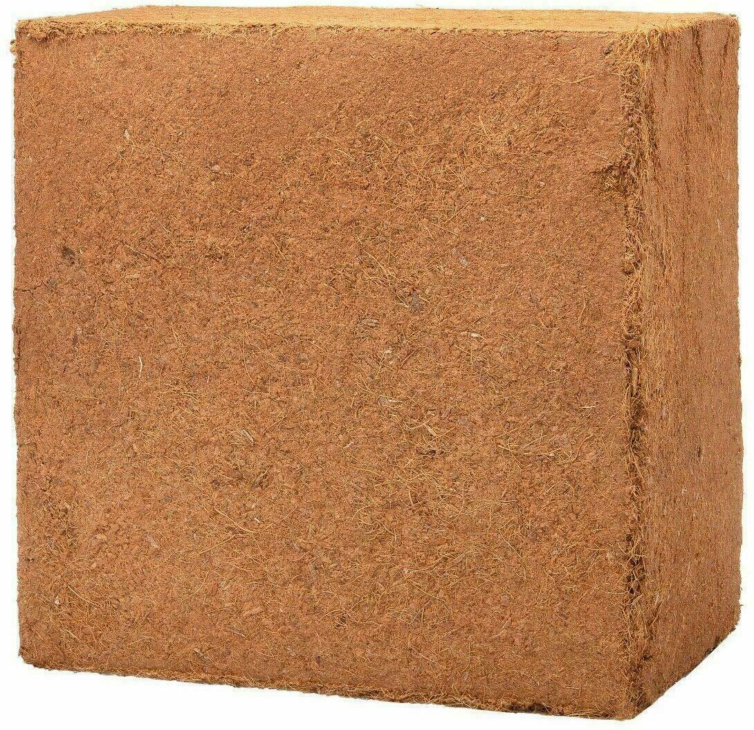 Firulab Fibra di Cocco Biologica | 150 g di Mattoni di Cocco e Cocco
