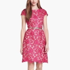 Eliza J S 4 Hot pink Lace Flare dress Cap Sleeve Cocktail Formal Wow Nordstrom
