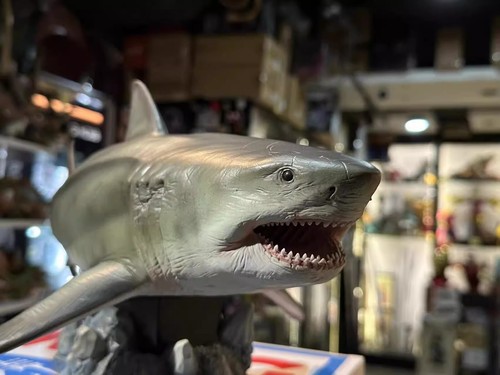 NUOVO W-Dragon 1/35 raro megalodonte squali preistorici dinosauri modello da collezione - Foto 2 di 23