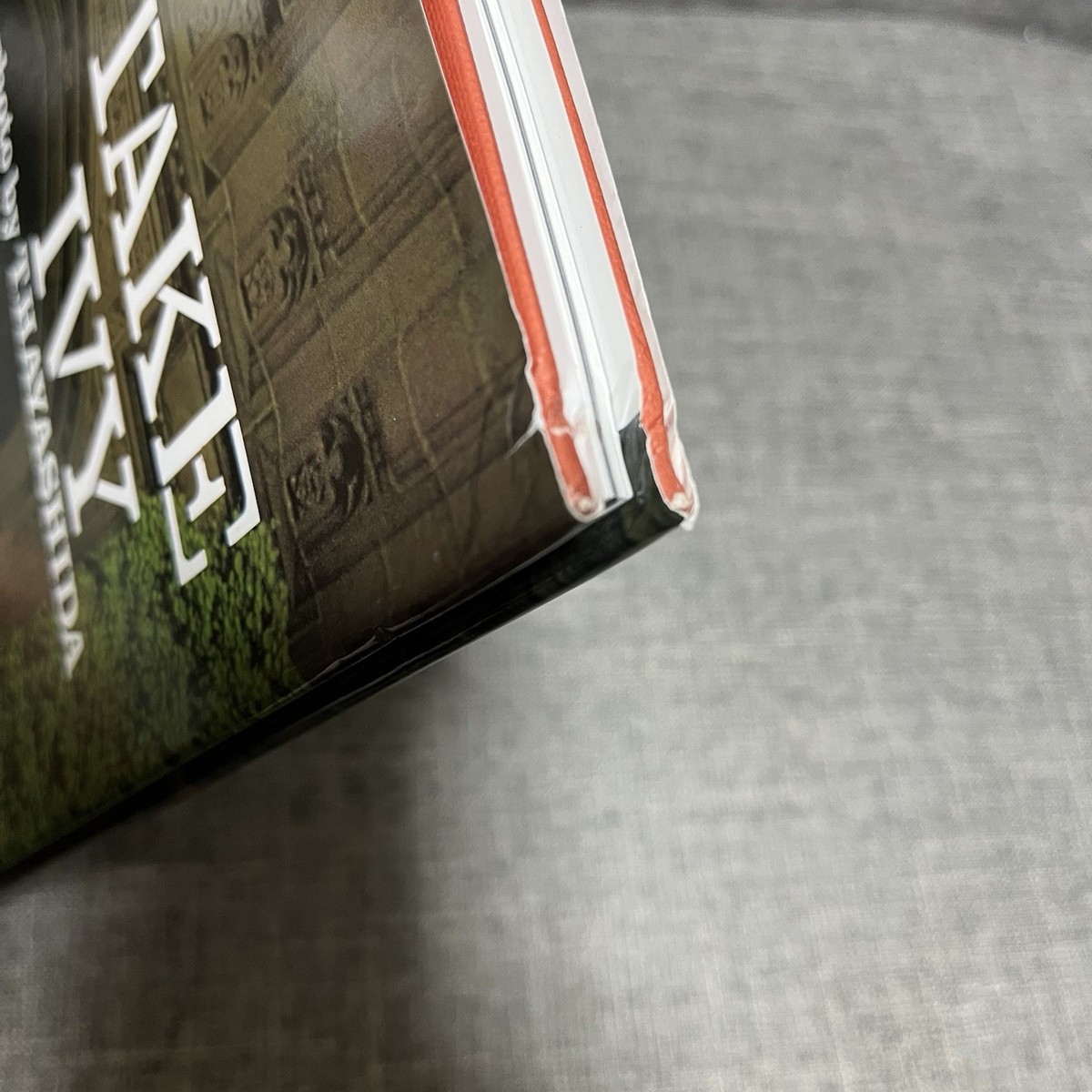 Take Ivy 2010 American Edition T. Hayashida English Powerhouse