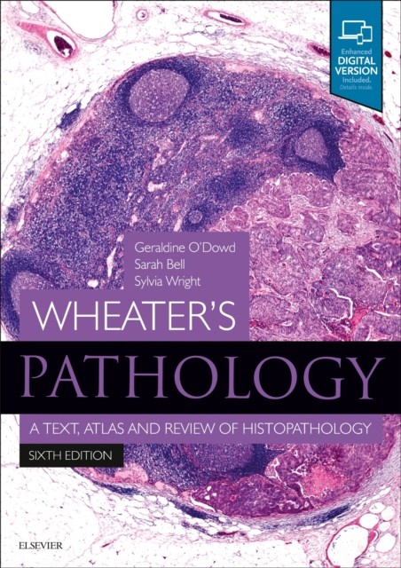 Wheater's Pathology: A Text, Atlas and Review of Histopathology by Geraldine O' - Image 6