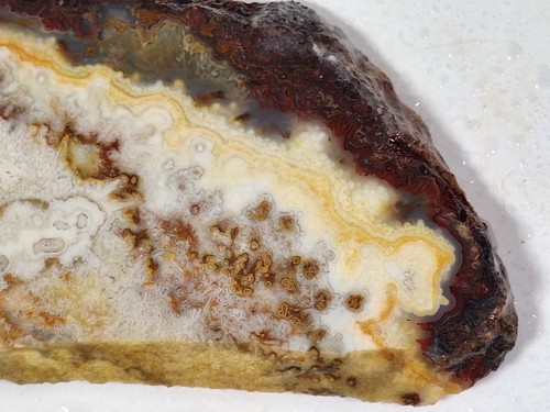 Unpolished MEXICAN LACE AGATE Lapidary Slab *Mexico *over 5 x 2 x .25 inch *5 oz - Picture 11 of 16