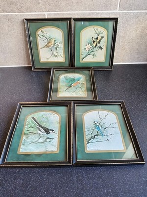 5 x Vintage Basil Ede gerahmte Drucke 6'' x 7'' signiert Eisvogel Galerie Wand