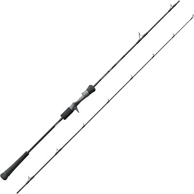 Tenryu HORIZON MJ HMJ642B-L Baitcasting Rod