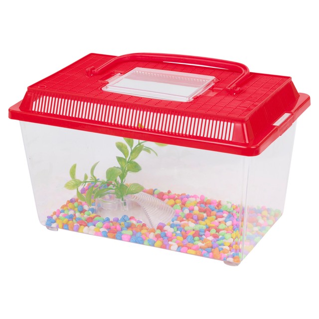 plastic storage bin fish tank