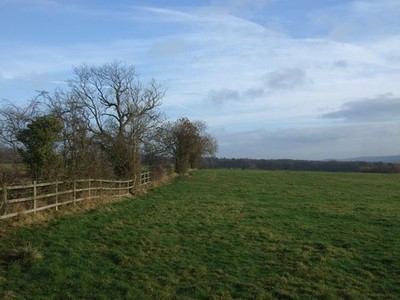 Photo 6x4 Grazing east of Newall Carr Road Otley/SE2045  c2016