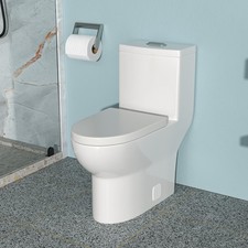 One-Piece Elongated Toilet, Dual Flush, Soft-Close Seat, 28" L