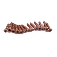 AGP Aged Relic Phillips Head Pickguard Screws for Tele and Strat-Style Guitars