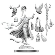 Dungeons Dragons Frameworks Female Human Druid Miniature Wizkids 75012