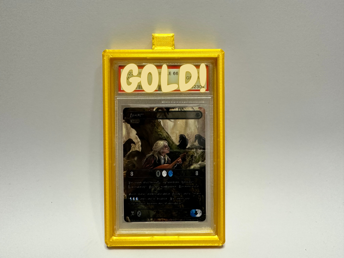 graded card necklace Amazon.com: Card Slab Display Chain - Compatible with (PSA, CGC, Beckett,  TAG) Standard Sized Slabs main image 0