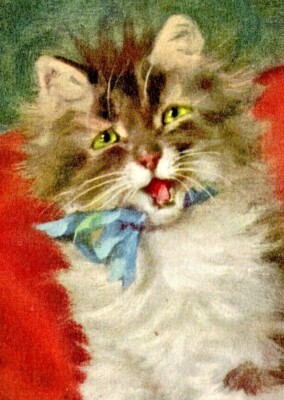 c1910 Cat Portrait, sweet, vintage postcard, ribbon, flower, D. Merlin