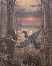 R.J. Mcdonald Ghost River Woodies S/N Duck Art Print 17 x 21.25