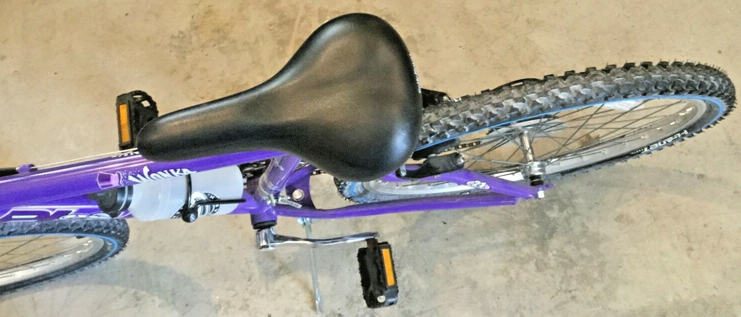 Picture 4 of 4