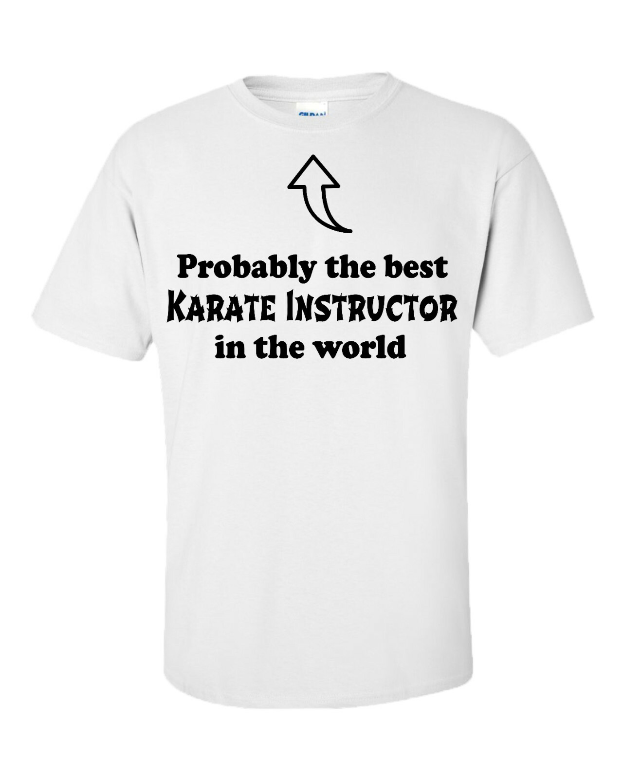 ALTRA Probabilmente la migliore maglietta istruttore di Karate S XXXL regalo compleanno Natale