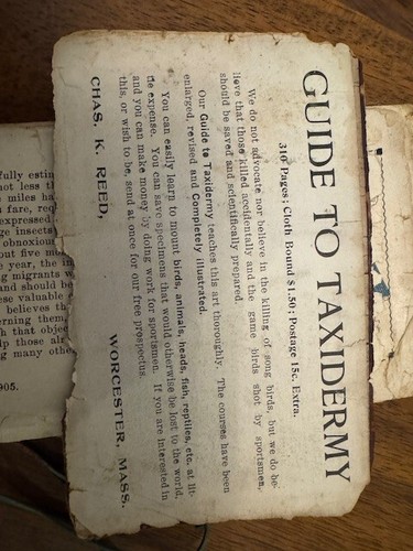 WWII Photo, Old Coins, Bird Guide 1905, Letter & Postcards Estate Lot - Picture 2 of 24